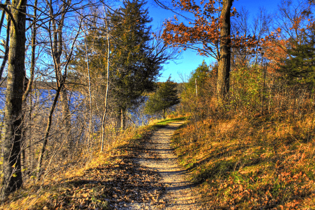 trail monitoring